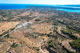 Αγροτεμάχια 4.000 τ.μ. για πώληση, Αργολίδα, Κρανίδι-thumb-21