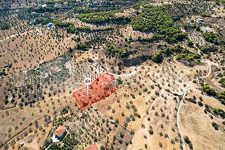 Αγροτεμάχια 4.000 τ.μ. για πώληση, Αργολίδα, Κρανίδι-thumb-4