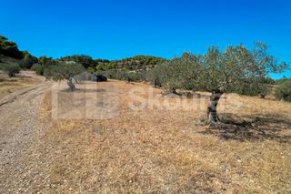 Αγροτεμάχια 4.000 τ.μ. για πώληση, Αργολίδα, Κρανίδι-thumb-17