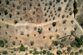 Αγροτεμάχια 4.000 τ.μ. για πώληση, Αργολίδα, Κρανίδι-thumb-19