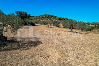 Αγροτεμάχια 4.000 τ.μ. για πώληση, Αργολίδα, Κρανίδι-thumb-14