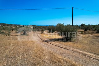 Αγροτεμάχια 4.000 τ.μ. για πώληση, Αργολίδα, Κρανίδι-thumb-10