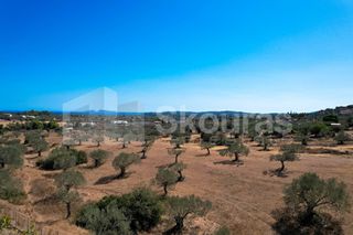 Αγροτεμάχια 4.000 τ.μ. για πώληση, Αργολίδα, Κρανίδι-thumb-8