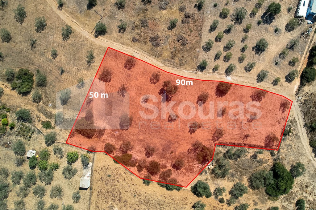 Parcel 4.000 sqm for sale, Argolis, Kranidi