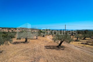 Αγροτεμάχια 4.000 τ.μ. για πώληση, Αργολίδα, Κρανίδι-thumb-6