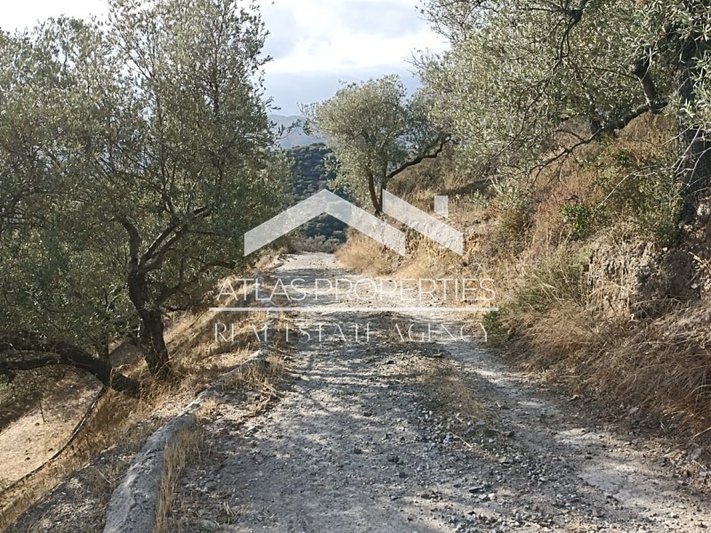 Οικόπεδο 5.215 τ.μ. προς πώληση, Σταλός