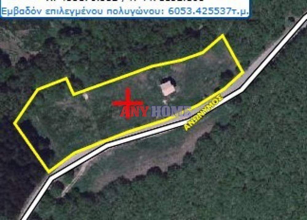 Αγροτεμάχια 6.000 τ.μ. προς πώληση, Κέντρο Πολυγύρου
