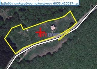 Αγροτεμάχια 6.000 τ.μ. για πώληση