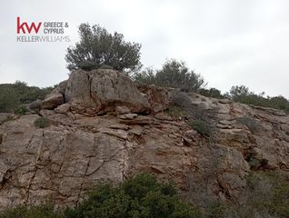 Οικόπεδο 3.353 τ.μ. για πώληση, Αττική - Υπόλοιπο, Σαρωνίδα-thumb-5