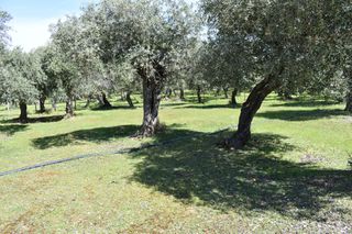 Οικόπεδο 333 τ.μ. για πώληση