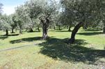 Land plot 333sqm for sale-Thasos » Skala Sotiros