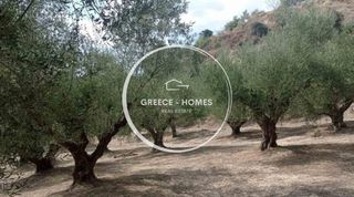 Αγροτεμάχια 15.000 τ.μ. για πώληση, Μεσσηνία, Μεσσήνη-thumb-1