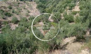Αγροτεμάχια 15.000 τ.μ. για πώληση, Μεσσηνία, Μεσσήνη-thumb-4