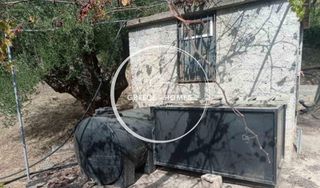 Αγροτεμάχια 15.000 τ.μ. για πώληση, Μεσσηνία, Μεσσήνη-thumb-3