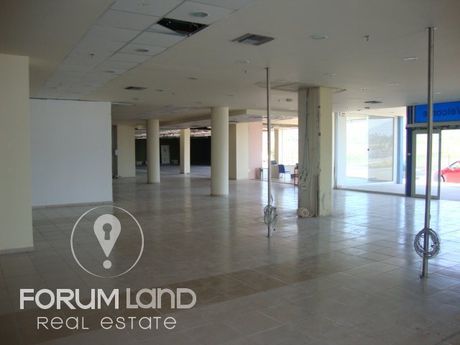 Κατάστημα 1.600 τ.μ. για ενοικίαση