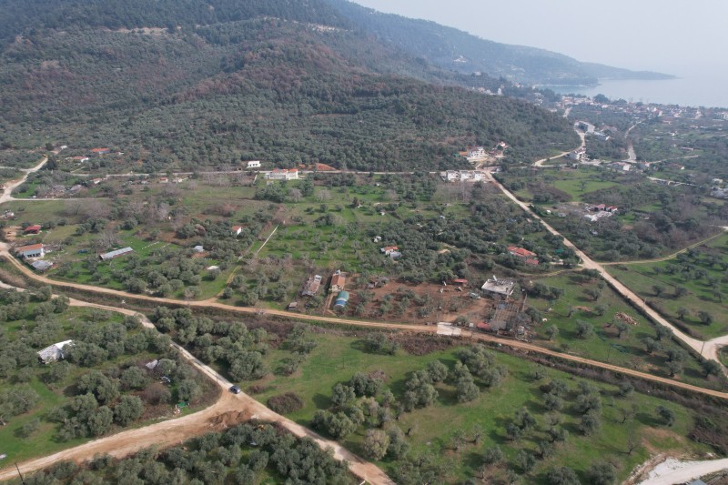 Αγροτεμάχια 635 τ.μ. προς πώληση, Χρυσή Αμμουδιά