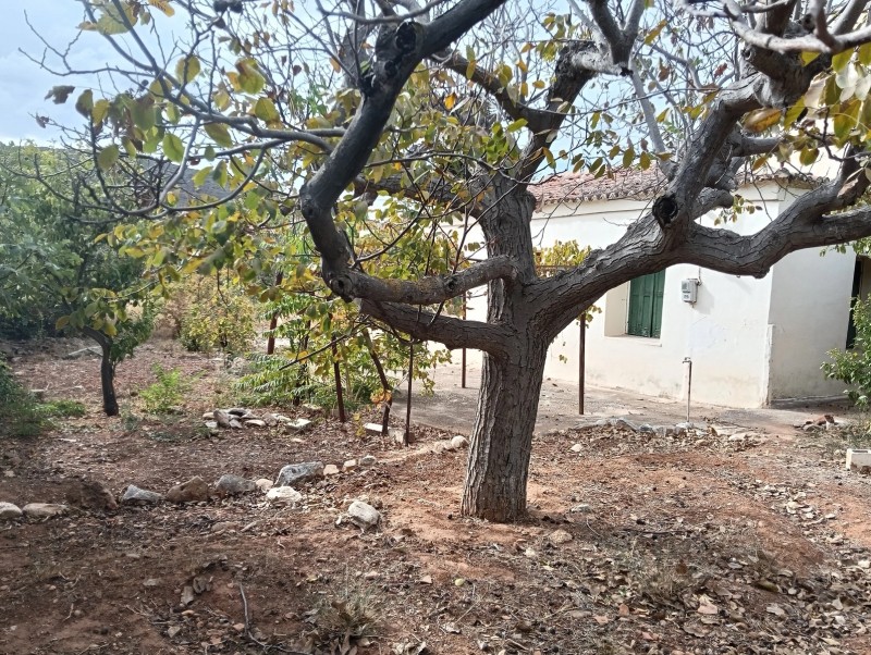 Μονοκατοικία 70 τ.μ. προς πώληση, Βόθωνας