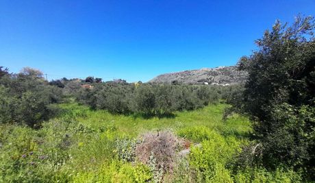 Land plot 3.187sqm for sale-Vamos » Drapanos
