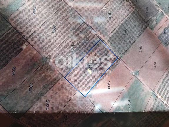 Αγροτεμάχια 13.000 τ.μ. για πώληση, Χαλκιδική, Τριγλία