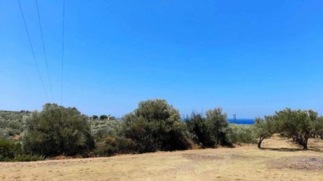 Land plot 535sqm for sale-Innachori » Livadia