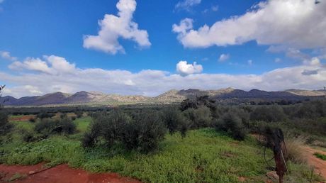 Οικόπεδο 8.493 τ.μ. για πώληση