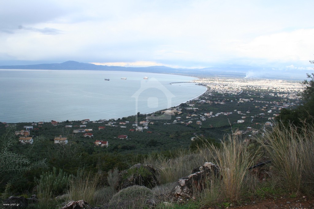 Οικόπεδο 9.000 τ.μ. πρός πώληση, Μεσσηνία, Καλαμάτα