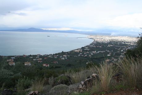 Οικόπεδο 9.000 τ.μ. για πώληση