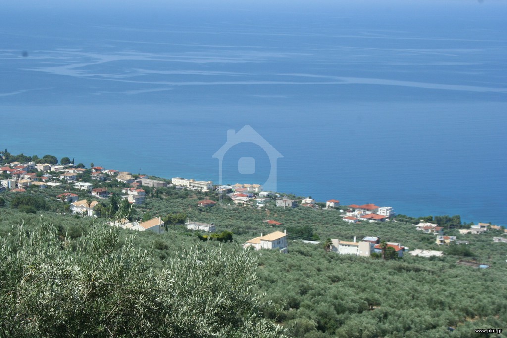 Οικόπεδο 9.000 τ.μ. πρός πώληση, Μεσσηνία, Καλαμάτα