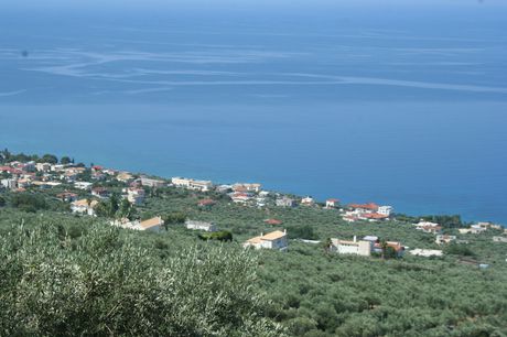 Οικόπεδο 9.000 τ.μ. προς πώληση
