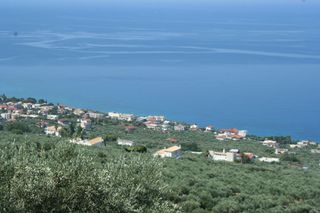 Οικόπεδο 9.000 τ.μ. για πώληση