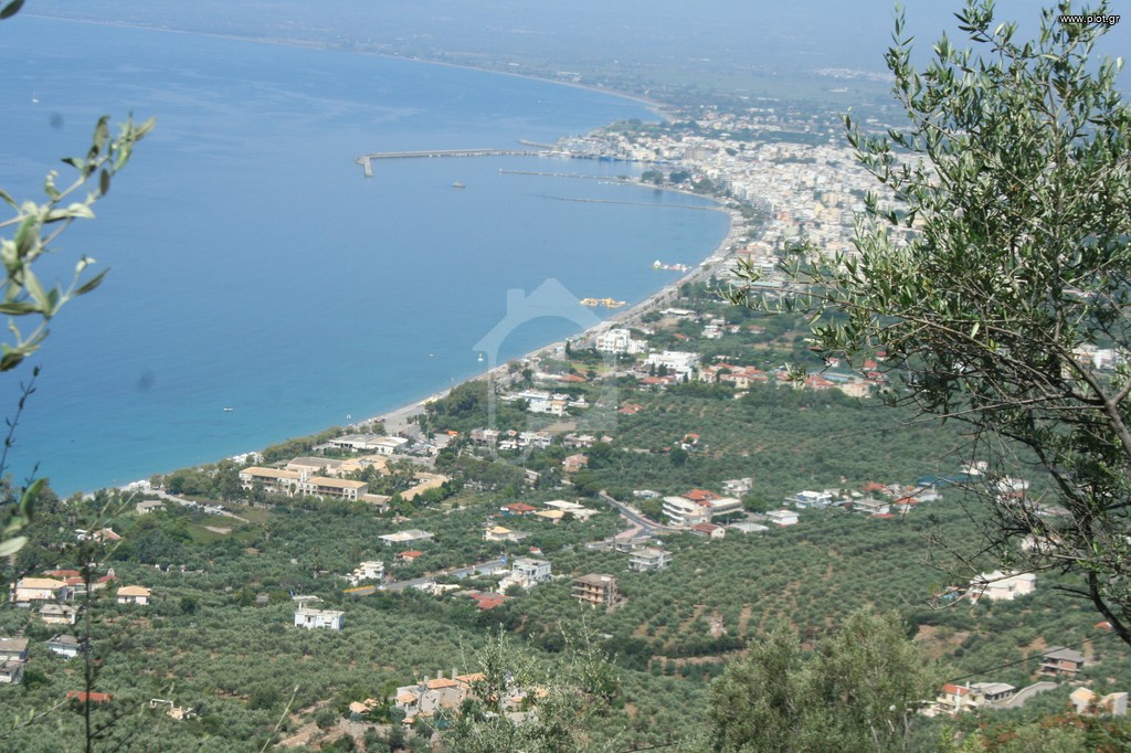 Οικόπεδο 9.000 τ.μ. πρός πώληση, Μεσσηνία, Καλαμάτα