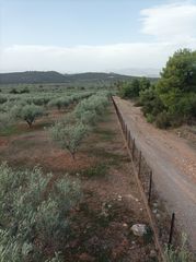 Αγροτεμάχια 5.000 τ.μ. για πώληση, Εύβοια, Ληλάντιο-thumb-9