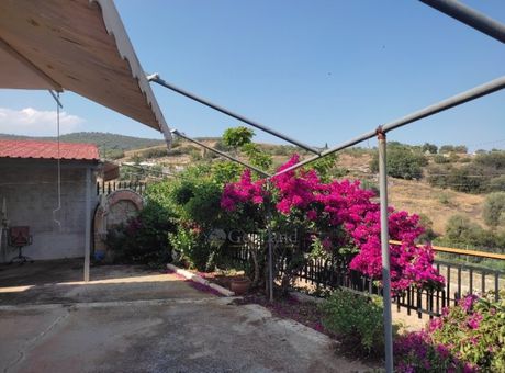 Detached home 80sqm for sale-Mycenae » Mporsas