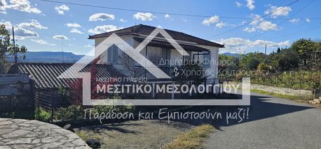 Detached home 189sqm for sale-Megalopoli