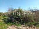 Parcel 414sqm for sale-Toroni » Sikia
