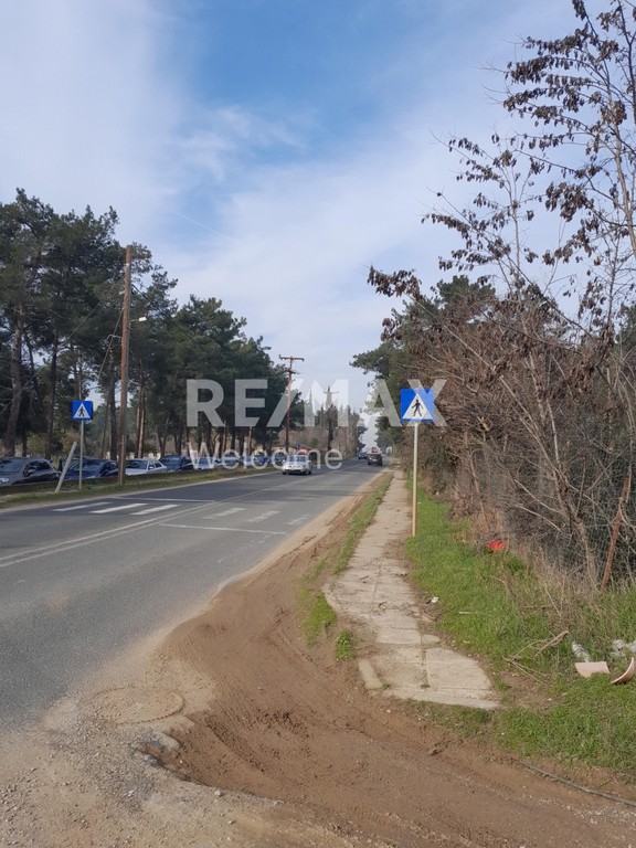 Αγροτεμάχια 10.600 τ.μ. προς πώληση, Νέα Ραιδεστός