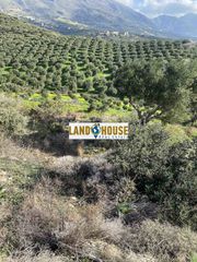 Αγροτεμάχια 9.500 τ.μ. πρός πώληση, Ν. Ρεθύμνου, Φοινίκας-thumb-9