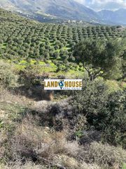 Αγροτεμάχια 9.500 τ.μ. για πώληση