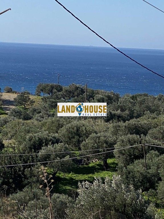 Αγροτεμάχια 9.500 τ.μ. πρός πώληση, Ν. Ρεθύμνου, Φοινίκας