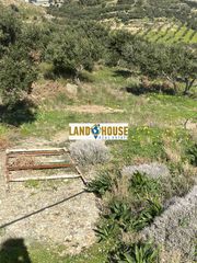 Αγροτεμάχια 9.500 τ.μ. πρός πώληση, Ν. Ρεθύμνου, Φοινίκας-thumb-7