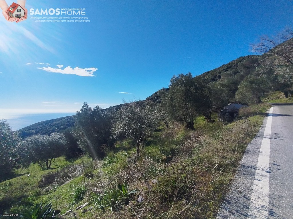 Αγροτεμάχια 6.453 τ.μ. για πώληση, Ν. Σάμου, Σάμος