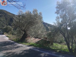 Αγροτεμάχια 6.453 τ.μ. για πώληση, Ν. Σάμου, Σάμος-thumb-1