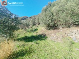 Αγροτεμάχια 6.453 τ.μ. για πώληση, Ν. Σάμου, Σάμος-thumb-3