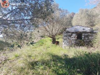 Αγροτεμάχια 6.453 τ.μ. για πώληση, Ν. Σάμου, Σάμος-thumb-8