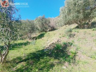 Αγροτεμάχια 6.453 τ.μ. για πώληση, Ν. Σάμου, Σάμος-thumb-17