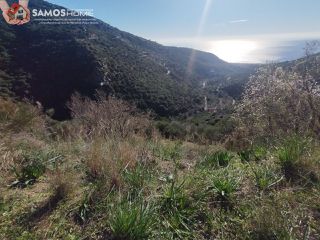 Αγροτεμάχια 6.453 τ.μ. για πώληση, Ν. Σάμου, Σάμος-thumb-20