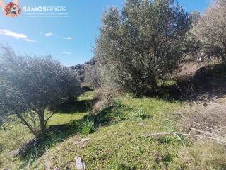 Αγροτεμάχια 6.453 τ.μ. για πώληση, Ν. Σάμου, Σάμος-thumb-21