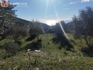 Αγροτεμάχια 6.453 τ.μ. για πώληση, Ν. Σάμου, Σάμος-thumb-22