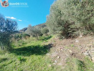 Αγροτεμάχια 6.453 τ.μ. για πώληση, Ν. Σάμου, Σάμος-thumb-26
