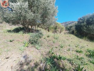 Αγροτεμάχια 6.453 τ.μ. για πώληση, Ν. Σάμου, Σάμος-thumb-27